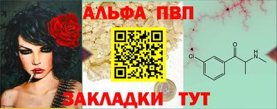 кокс Донской