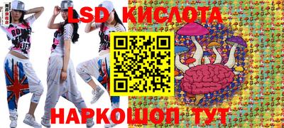 кокс Донской