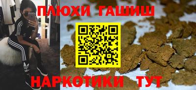кокс Донской