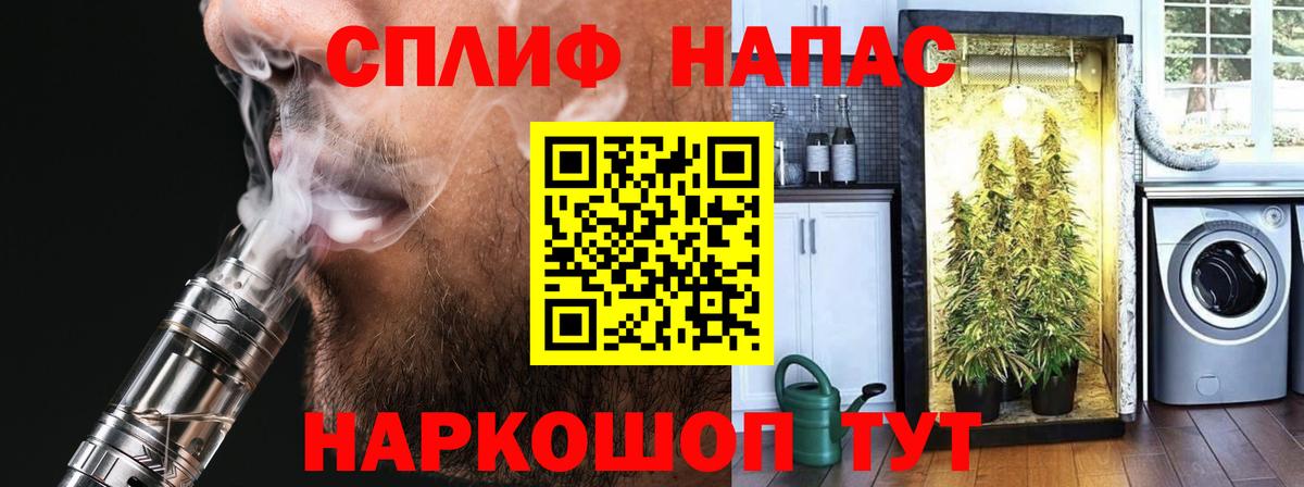 Бошки марихуана семена Вологда